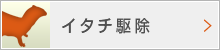 イタチ駆除