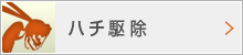 ハチ駆除