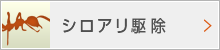 シロアリ駆除